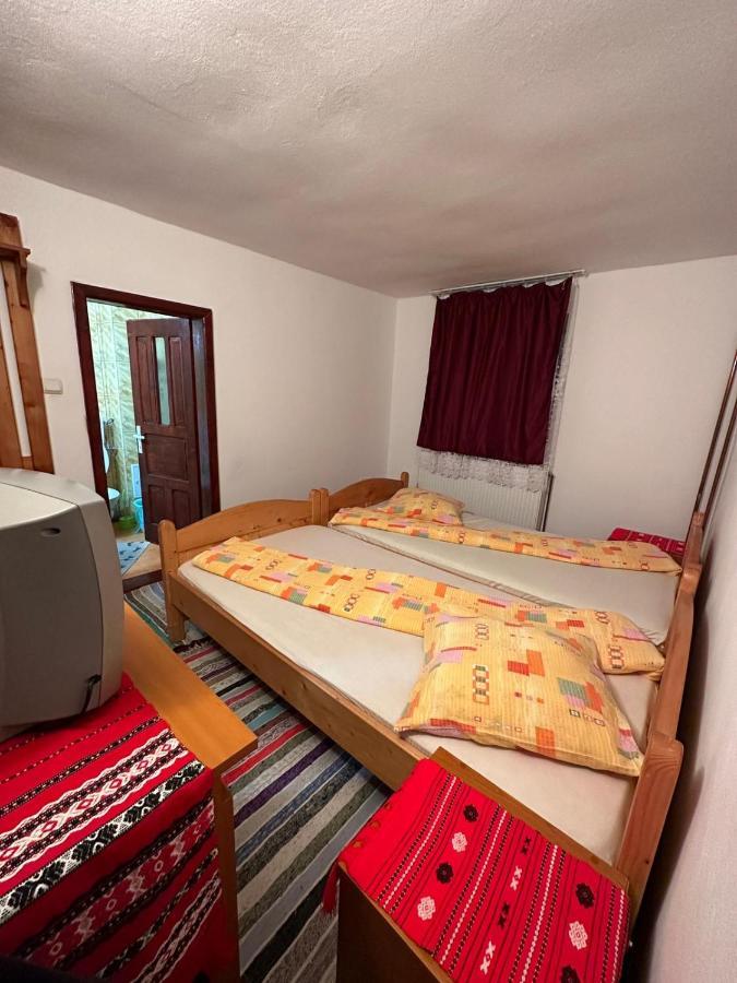 Casa Alex Villa Arieşeni Dış mekan fotoğraf